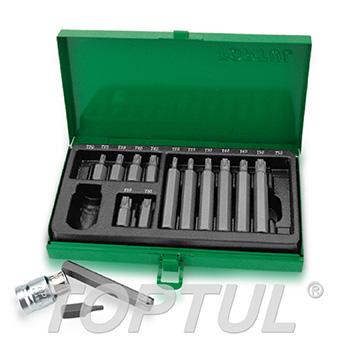 15PCS 10mm Hex Shank Star Insert Bit Set